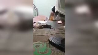 Muslim sasur ne apni bahu ki chut chodi